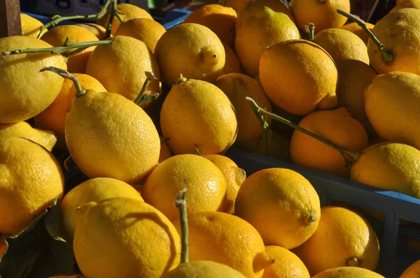 Limão Amarelo Citrus Limon Fruta Comida Vegetariana — Fotografia de Stock