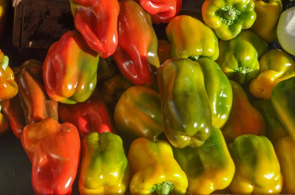 Papryki Capsicum Aka Papryka Warzywa Dania Wegetariańskie Wegańskie Jedzenie — Zdjęcie stockowe