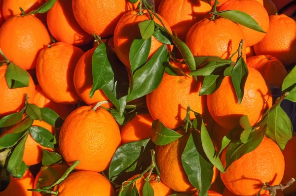 Naranja Mandarina Mandarina Citrus Tangerina Fruta Comida Vegetariana — Foto de Stock