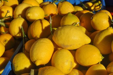 sarı limon (Citrus limon x) meyve vejetaryen yemek