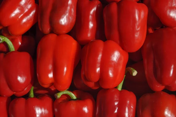 Перец Capsicum Болгарский Перец Овощи Вегетарианские Веганские Продукты Питания — стоковое фото