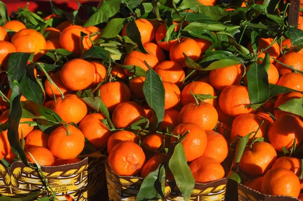 Orange Tangerine Mandarin Citrus Tangerina Frukt Vegetarianmat — Stockfoto