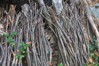 bağ ve yakıt olarak kullanılan dal demeti fagot