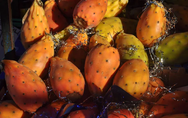 Barbary Fig Aka Indian Fig Opuntia Cactus Pear Spineless Cactus — Stock Photo, Image