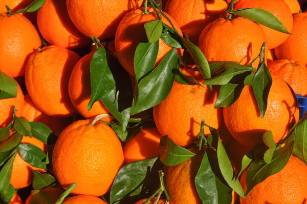 Orangenmandarine Mandarine Zitrustangerine Obst Vegetarisches Essen — Stockfoto