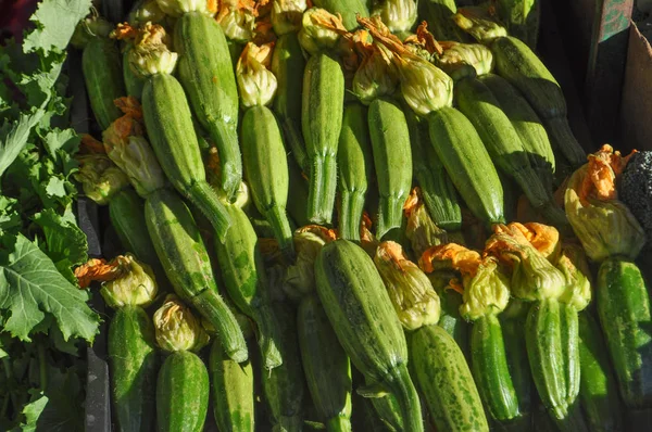 Zucchini Cucurbita Pepo Aka Zucchini Grönsaker Vegetarisk Och Vegansk Mat — Stockfoto