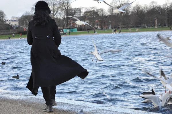 Serpentine lake in London — Stock Photo, Image