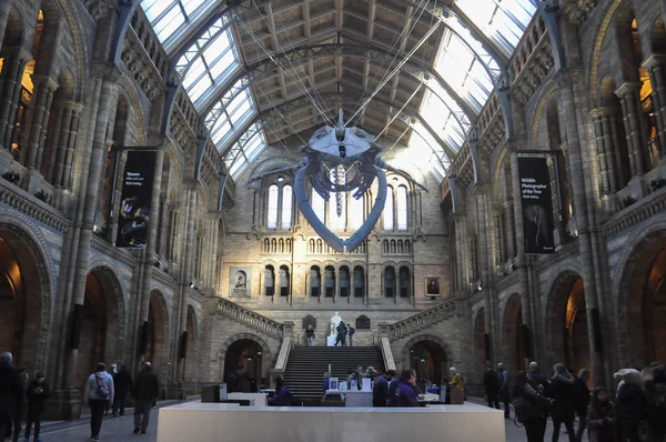 Museo de Historia Natural de Londres — Foto de Stock