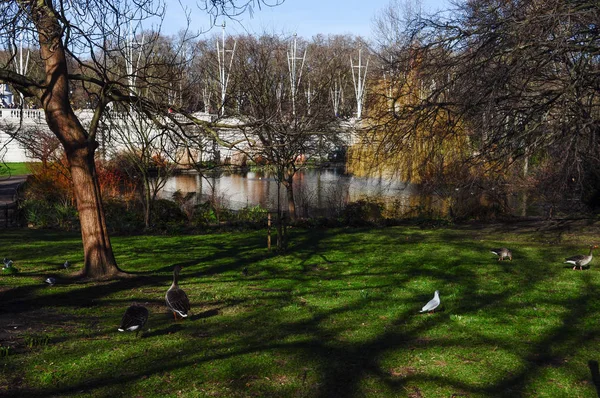 Staw James Park Londynie Wielka Brytania — Zdjęcie stockowe