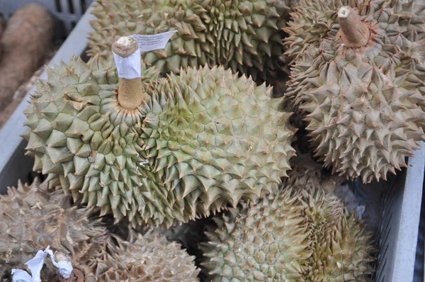 Durian Είναι Εδώδιμα Φρούτα Από Διάφορα Είδη Δέντρων Που Ανήκουν — Φωτογραφία Αρχείου