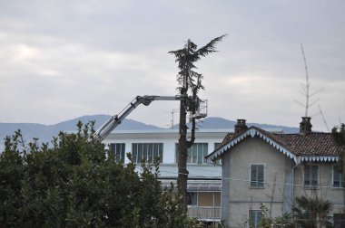 Tanınmayan bahçıvan vinç sepetinde bir ağacı buduyor koruyucu giysi ve tam yüz kalkanıyla (İtalyanca metin portata massima 120 kg: maksimum ağırlığı 265 lb)