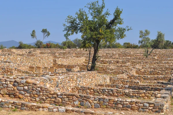 Ruinas Antigua Ciudad Olynthus Chalkidiki Grecia — Foto de Stock