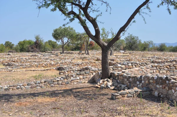 Ruinas Antigua Ciudad Olynthus Chalkidiki Grecia — Foto de Stock