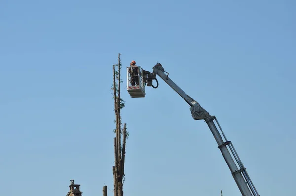 Unrecognisable gardener pruning a tree on a crane basket with protective wear jacket and full face shield (translation of Italian text portata massima 120 kg: max weight 265 lb)