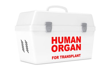 İnsan donör organ taşıma için buzdolabı kutusu. 3D render