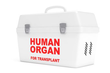 İnsan donör organ taşıma için buzdolabı kutusu. 3D render