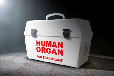 İnsan donör organ hacimsel taşıma için buzdolabı kutusu