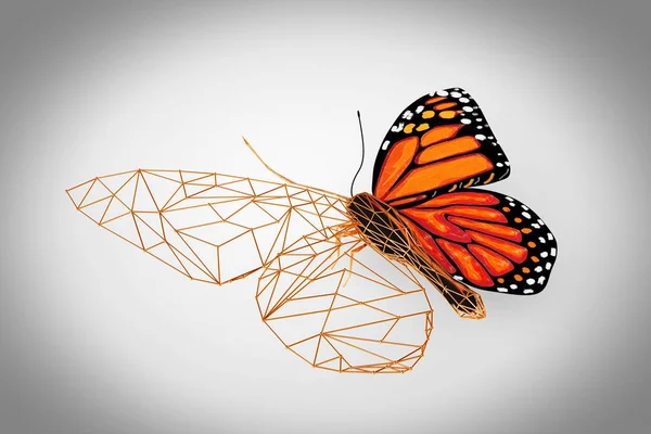 Abstrato com fio Baixo Poly Butterfly. Renderização 3d — Fotografia de Stock