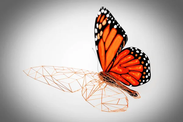 Abstrato com fio Baixo Poly Butterfly. Renderização 3d — Fotografia de Stock