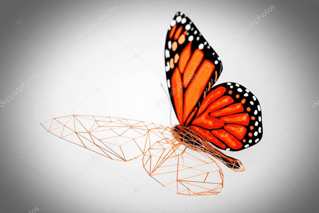 Abstract Wired Low Poly Butterfly. 3d Rendering