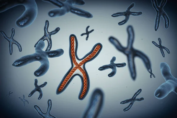 Много хромосом. 3D-рендеринг — стоковое фото