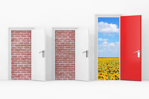 Tre porte per uffici commerciali, due porte bloccate con muro di mattoni , — Foto Stock