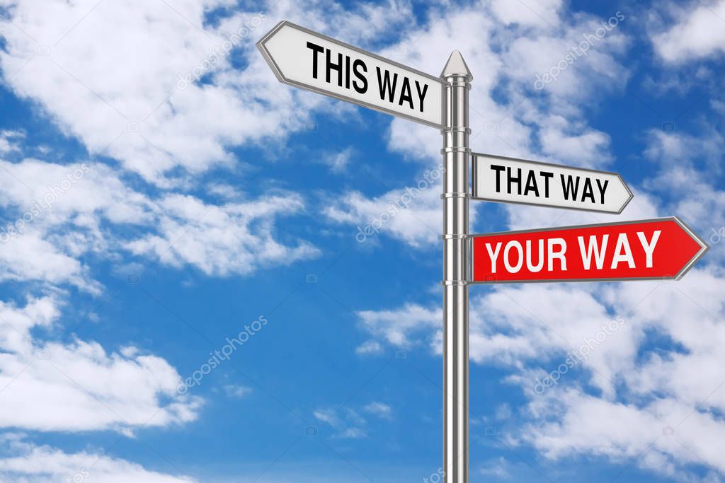 Right Your Way Choice in Business and Life Signpost. 3d Renderin