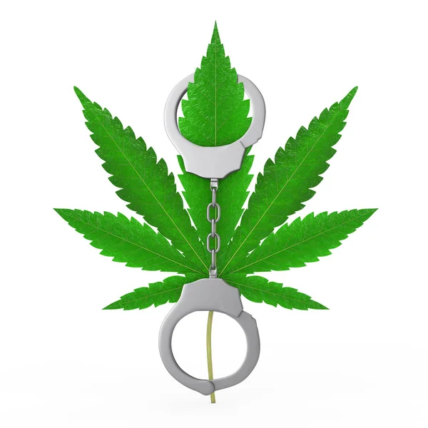 白い背景に医療マリファナや大麻麻の葉と金属手錠 3Dレンダリング — ストック写真