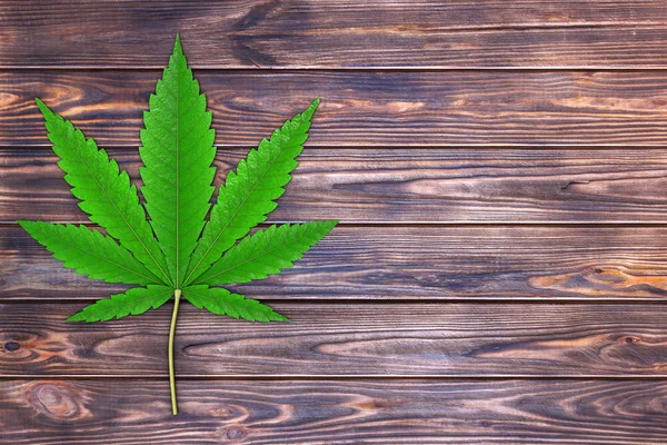 Medicinsk Marijuana Eller Cannabis Hampa Leaf Planka Träbord Konvertering — Stockfoto