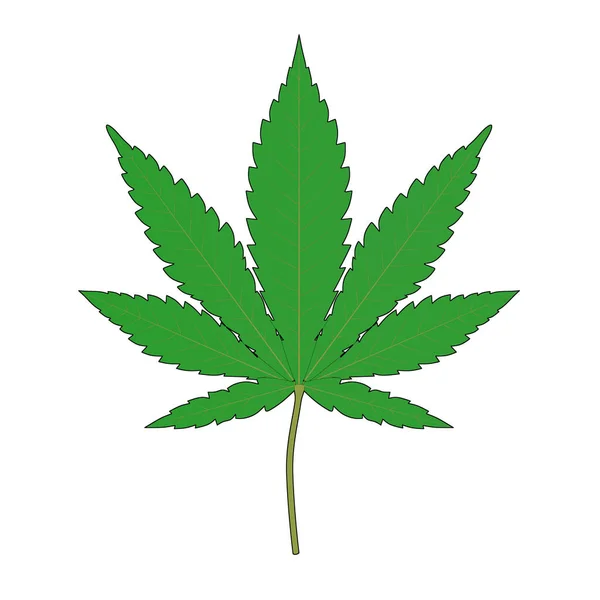 Orvosi Marihuána Vagy Cannabis Kenderlevél Vázlatos Firka Stílusban Fehér Alapon — Stock Fotó