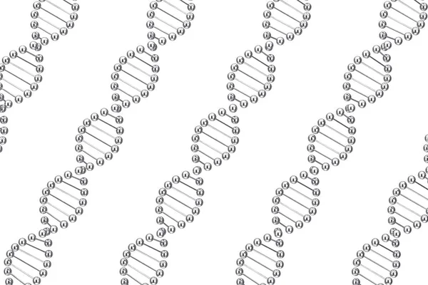 科学概念 白色背景上的一排排金属Dna分子螺旋体 3D渲染 — 图库照片