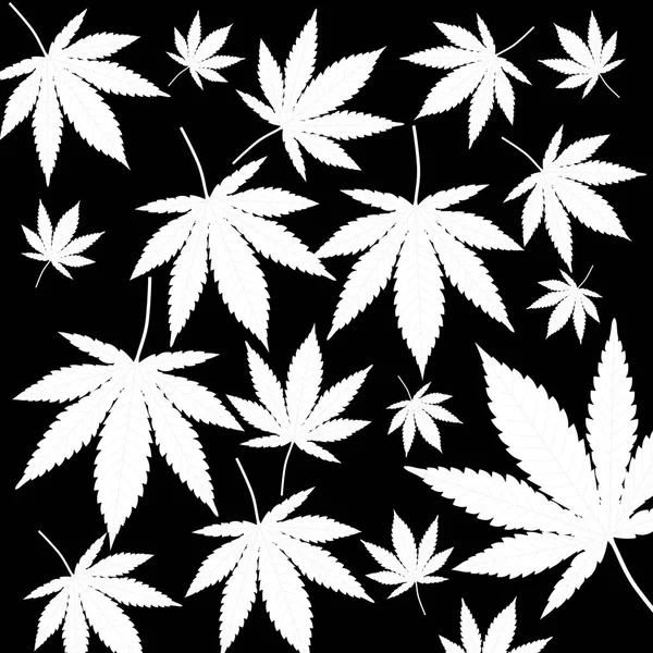 Black White Medical Cannabis Listí Vzor Pozadí Extrémní Detailní Vykreslování — Stock fotografie