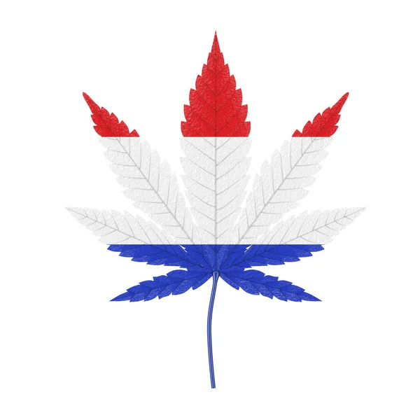 Medicinsk Marijuana Eller Cannabis Hemp Leaf Med Konungariket Nederländerna Flagg — Stockfoto