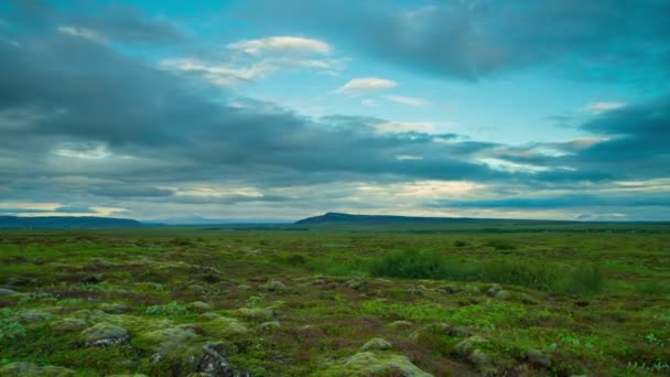 Gebruikelijke IJslandse landschap — Stockvideo