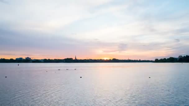Hamburg Alster göl kenarında muhteşem günbatımı — Stok video