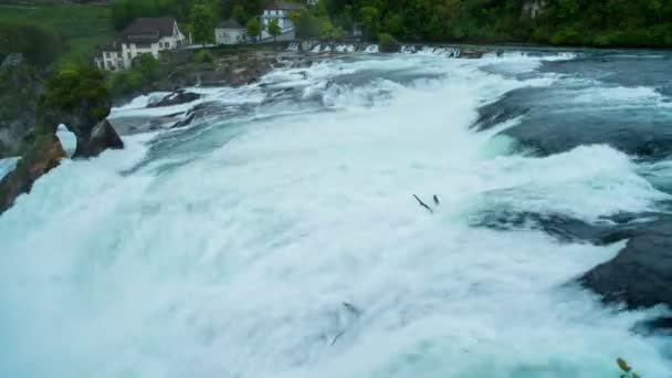 Caducidad de la mañana con potentes cataratas del Rin — Vídeos de Stock