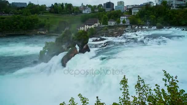 Pagi hari berlalu dengan kuat Rhine Falls — Stok Video