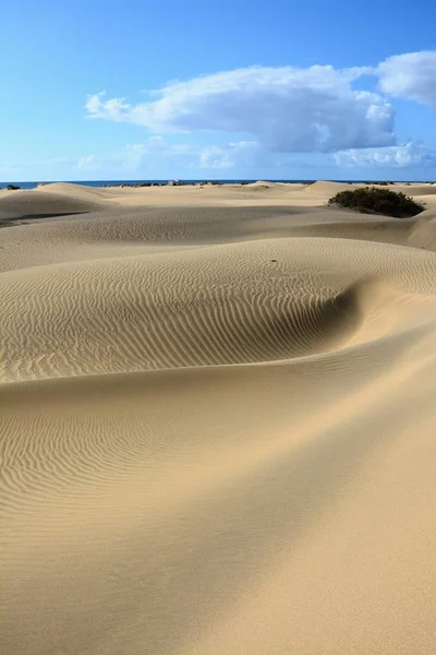 Sand dunes of Maspalomas — Stock Photo, Image