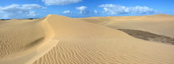 Wydmy piaskowe Maspalomas — Zdjęcie stockowe