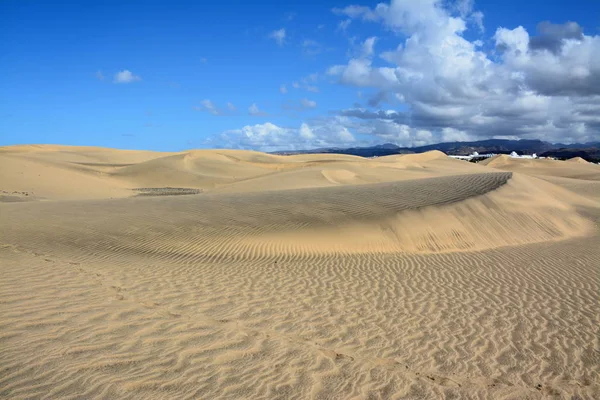 Wydmy piaskowe Maspalomas — Zdjęcie stockowe