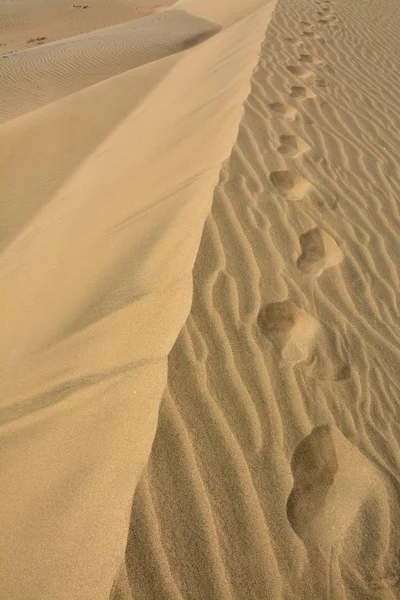 Sanddynerna i Maspalomas — Stockfoto