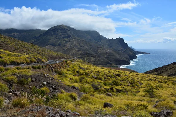 Gran Canaria harika Adası