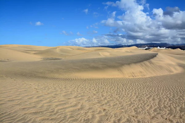 Песчаные дюны Маспаломы Стоковое Изображение