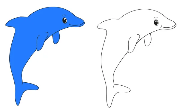 Два дельфина один синий другой белый изолированный — стоковый вектор
