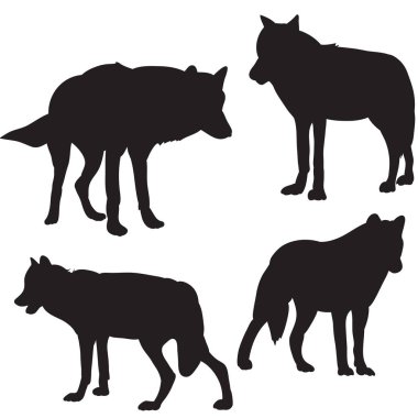 Tapir hayvan yan duruyor