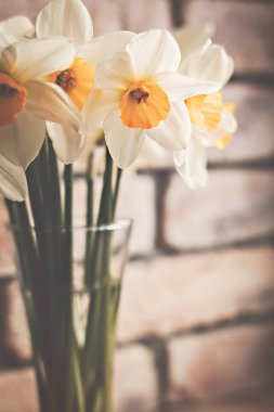 buket bahar çiçekleri nergis