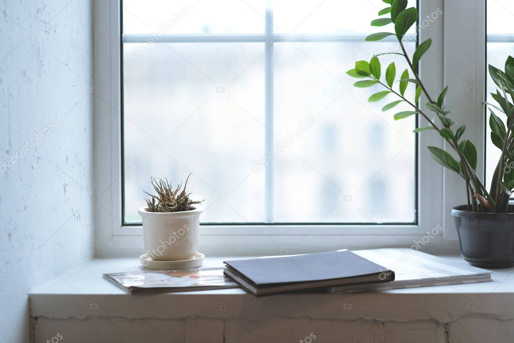 White walls minimalistic blogger interior - plants, magazines on the window sill