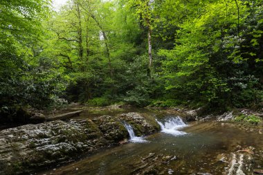 Dağ nehir küçük şelale