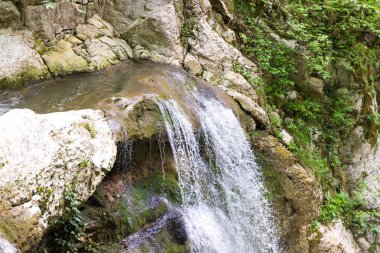 Dağ nehri şelalesi yeşille