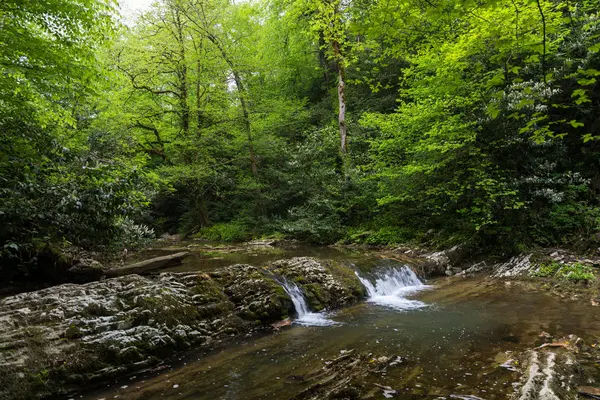 Dağ nehir küçük şelale